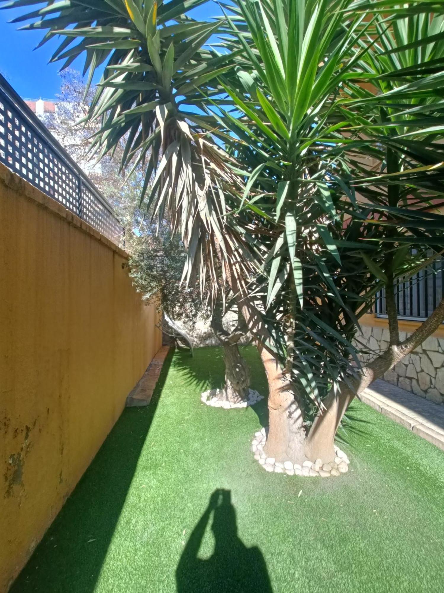 Beach&Garden Málaga Exteriör bild